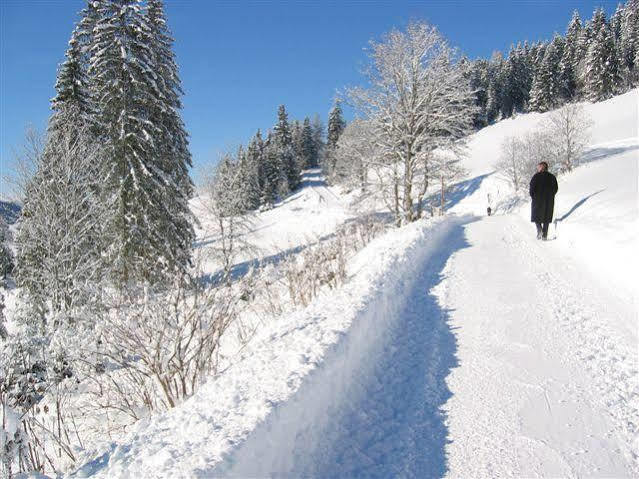 Haus Rigl Apartamento Schladming Exterior foto